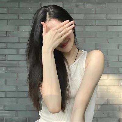 鲨与鲸